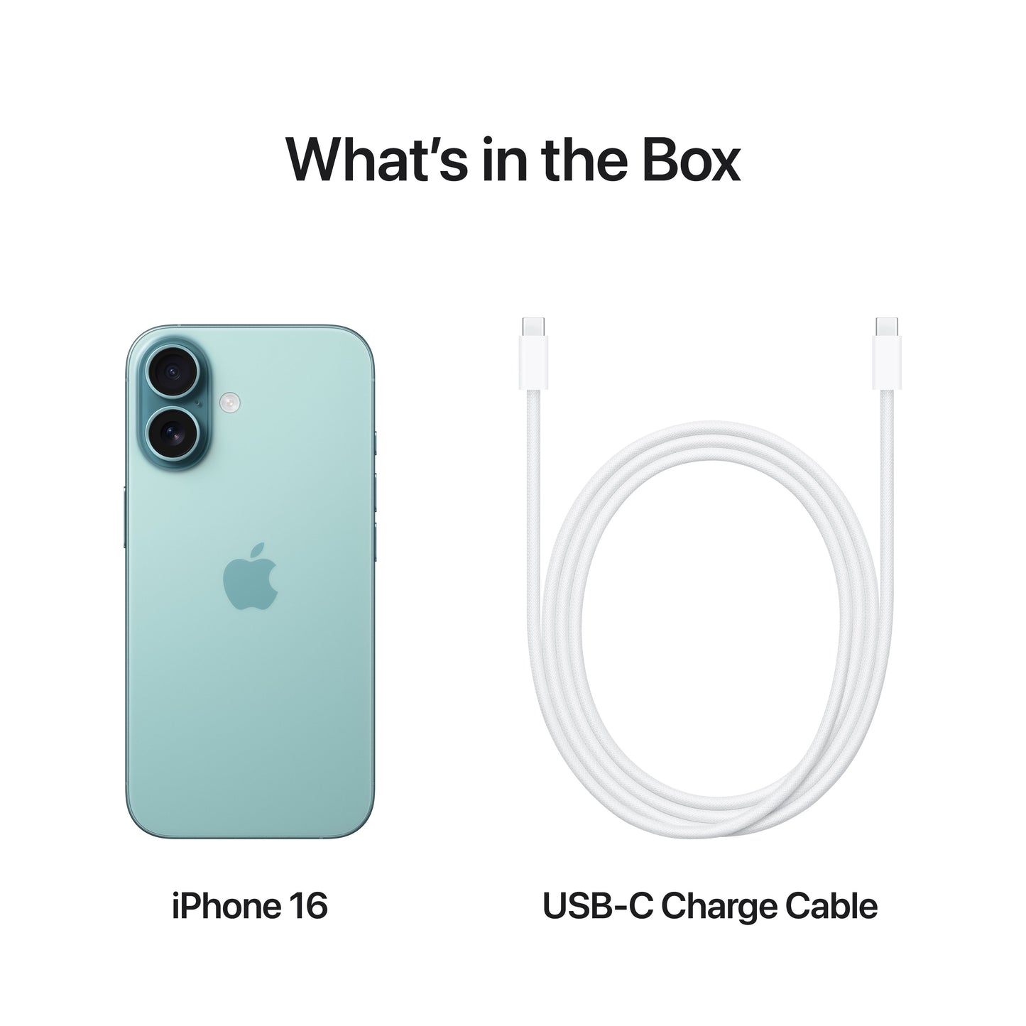 What’s in the Box. iPhone 16. USB-C Charge Cable.
