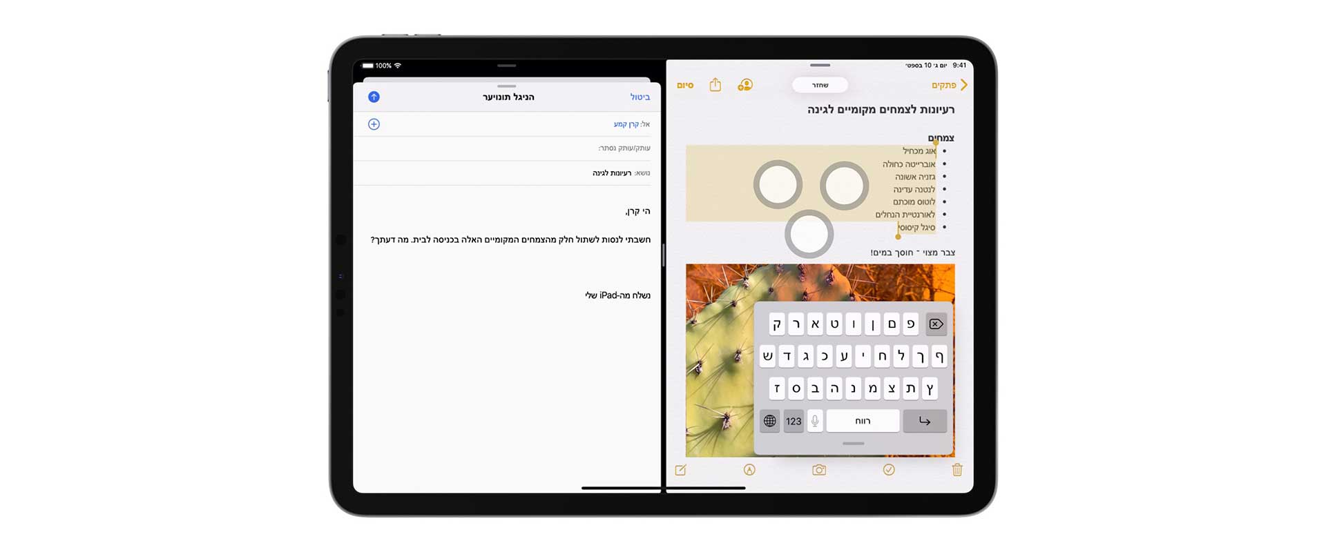 ipad