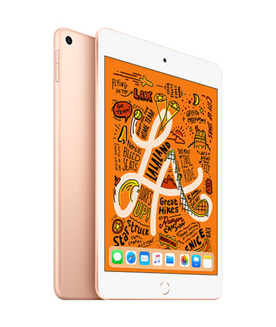 iPad mini 5, 64GB, Wi-Fi + Cellular